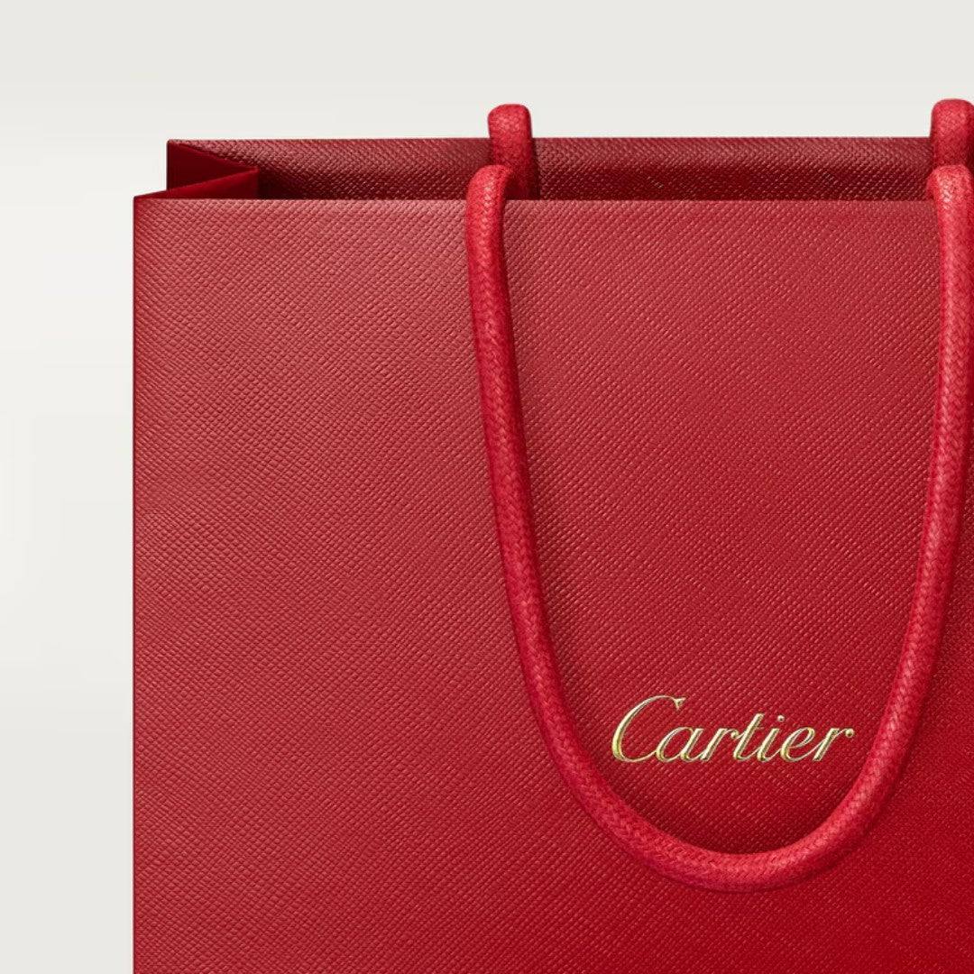 cartier _ Les Heures Voyageuses Oud Radieux 100ml