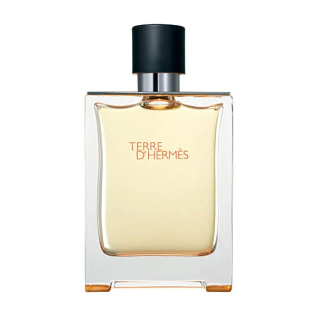 Terre d'Hermès 100ml